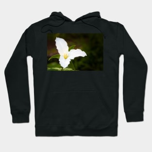 White Trillium Spring Flower Hoodie